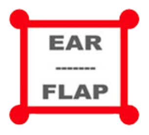 Primera imagen corporativa de Ear Flap en 2001