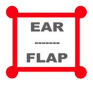Logo de Ear Flap del año 2003