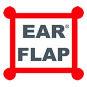 Logo de Ear Flap del año 2006